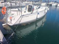 Delphia 28 Sport