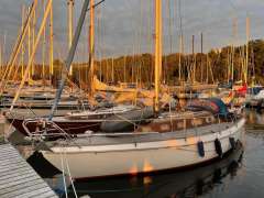 Nötesunds Vindö 40