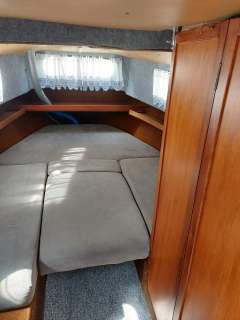 Hardy Pilot 20 Familie