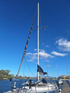 Catalina Morgan Classic 41