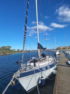 Catalina Morgan Classic 41