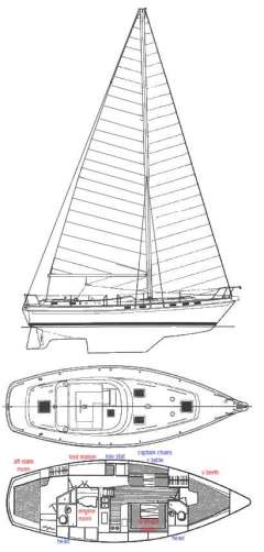 Catalina Morgan Classic 41