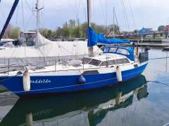 Reinke S 11