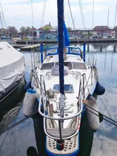 Reinke S 11