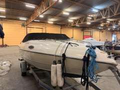 Stingray 195 CX