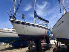Sunwind 31 1