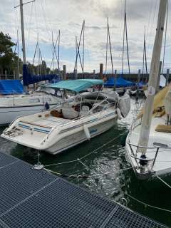 Windy 7800
