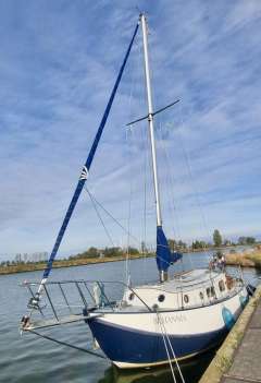 Scheldeschouw 9 meter