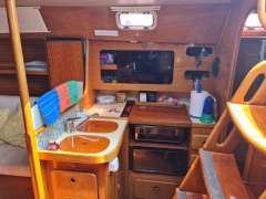 BRISA 40