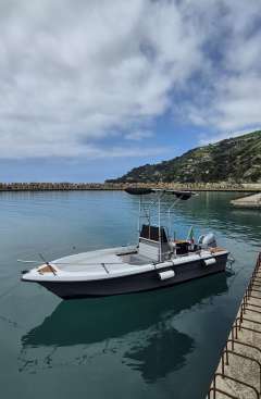 Solemar Torpedine 530