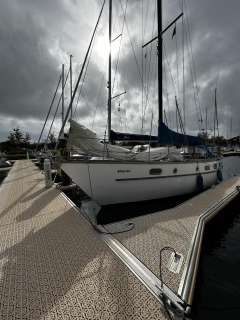 Hartley Golden Corwie 37