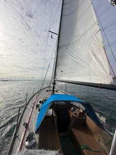 Hartley Golden Corwie 37