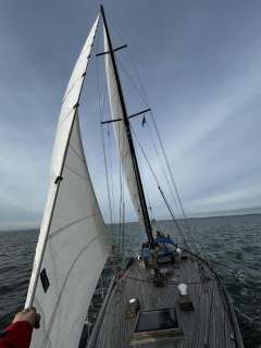 Hartley Golden Corwie 37