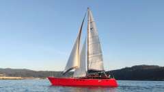 Wadvogel 38