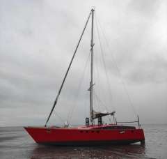 Wadvogel 38