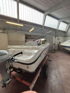 Ranieri Voyager 17
