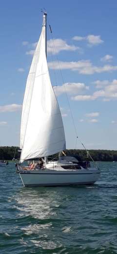 Gib Sea 282