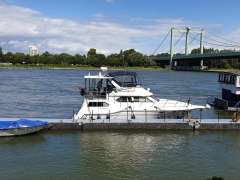 Cruisers 3950