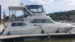 Cruisers 3950