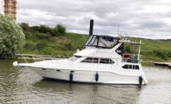 Cruisers 3950