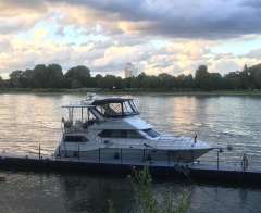Cruisers 3950