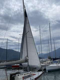 Dehler Dehlya