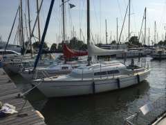 Van De Stadt Bries 0