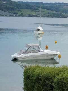 Stingray CR 235