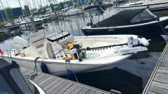 Boston Whaler 210 Montauk