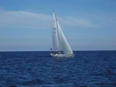 Swede 38