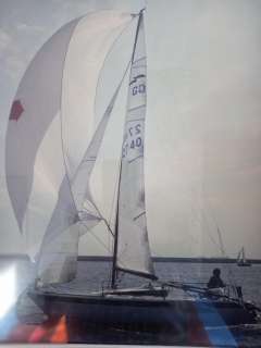 Dehlya Sprinta Sport
