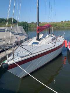Dehlya Sprinta Sport