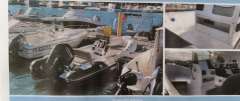 Tigermarine 520 Sport Line Bateau semi-rigide