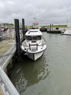 Sargo 31 Offshore