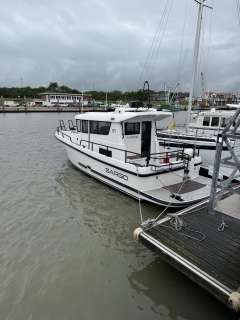 Sargo 31 Offshore