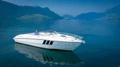Windy 29 COHO Bateau de sport