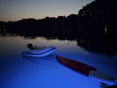 Rinker 310 Express Cruiser