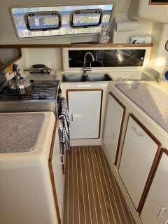 Robertson&Caine Leopard 47