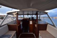 Danica Venus 31