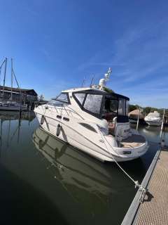 Sealine S 41