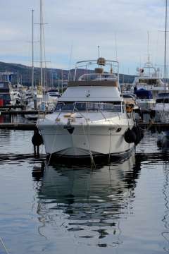 Princess 415