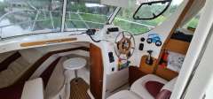 Arvor 250 AS