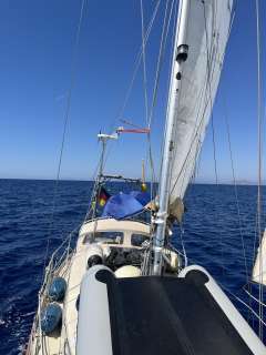 Klaus Baess Great Dane 28