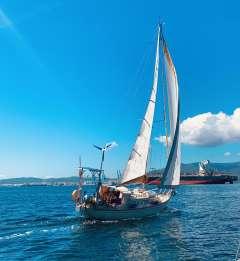 Klaus Baess Great Dane 28