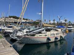 Klaus Baess Great Dane 28