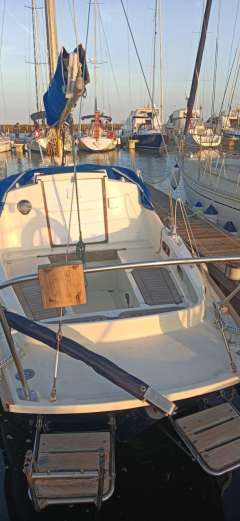 Hurley 27