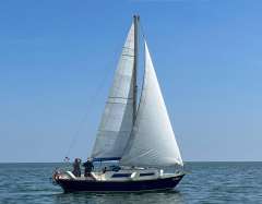 Hurley 27