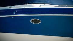 Formula 310BR