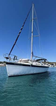 Elan 36