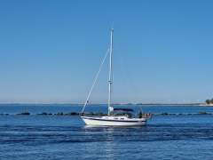 Hallberg-Rassy 29